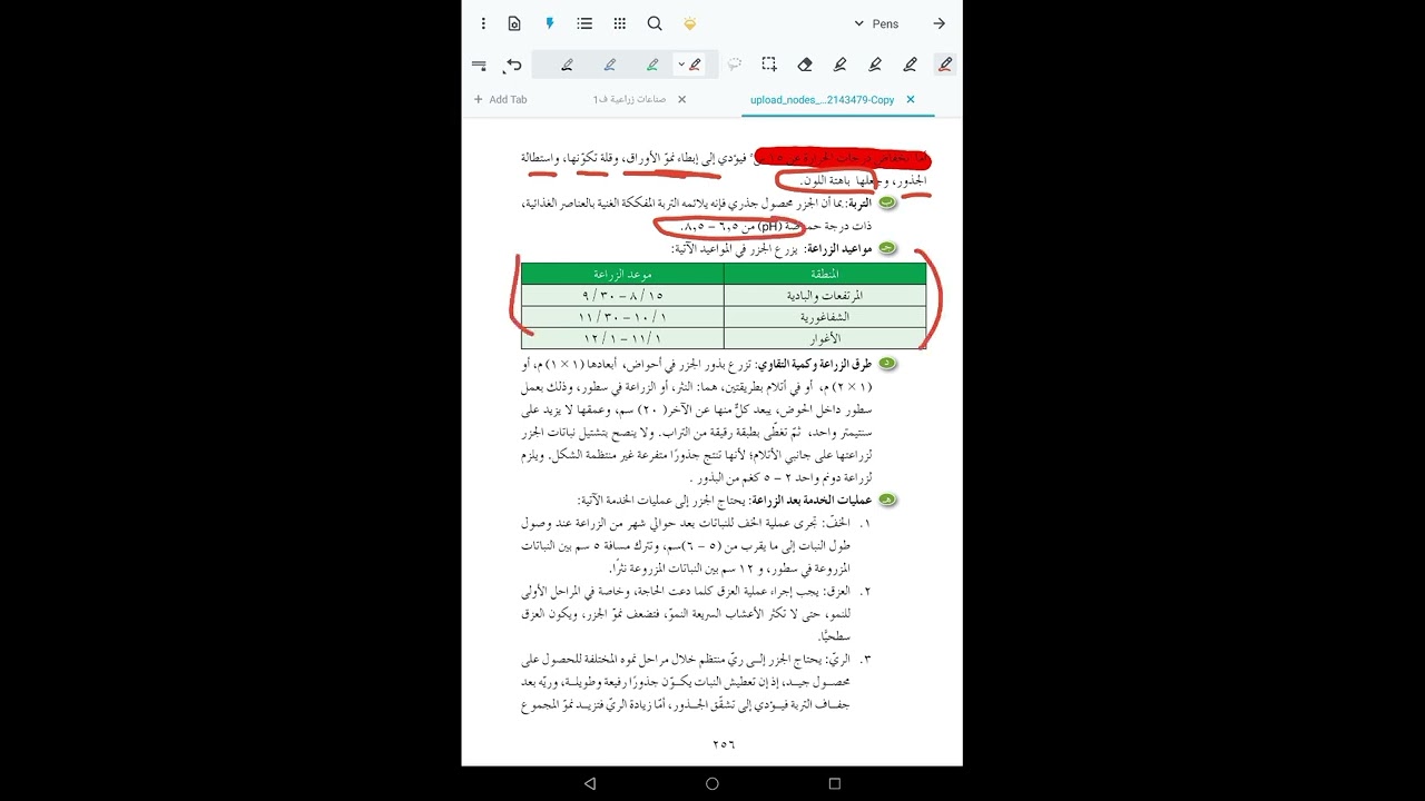 الفصيلة الخيمية 