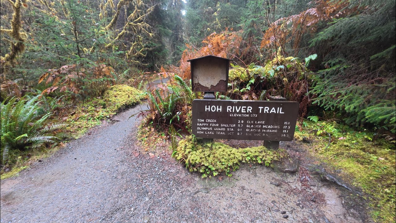 Hiking the Hoh Rain Forest in Winter | Olympic National Park