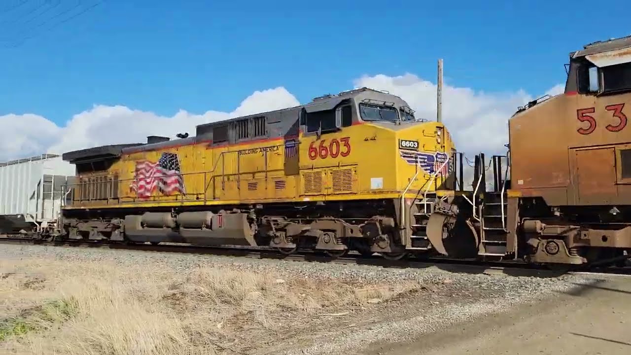UP PDOG on January 25, 2026, at Willard Utah  MP 17.25.