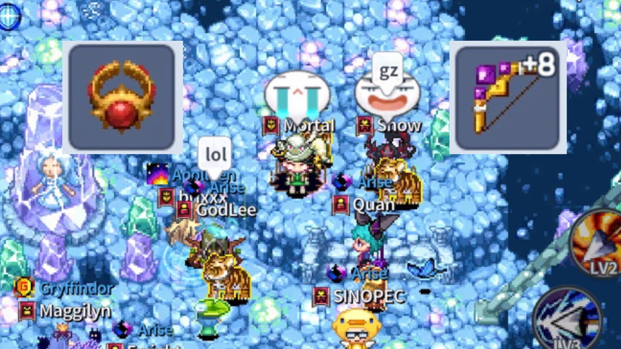 Level 46 Journey and Friendly PvP | Twom IMO