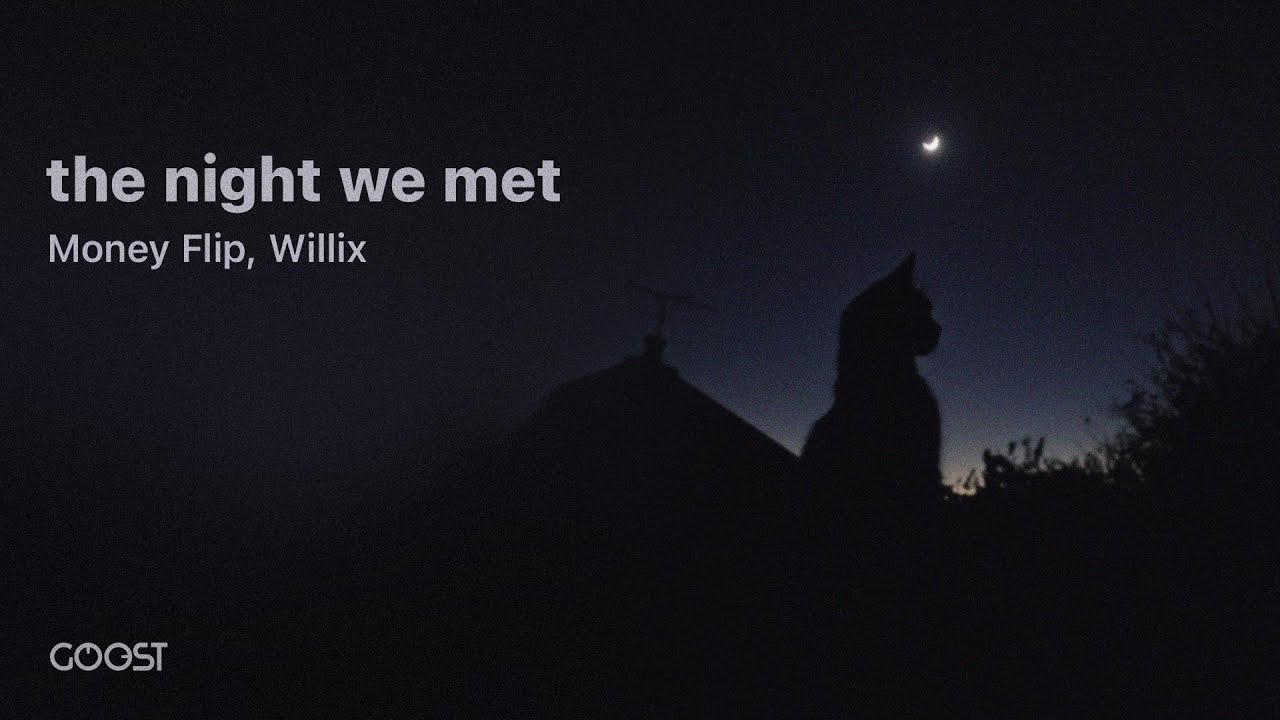 Money Flip, Willix - the night we met (Official Audio)