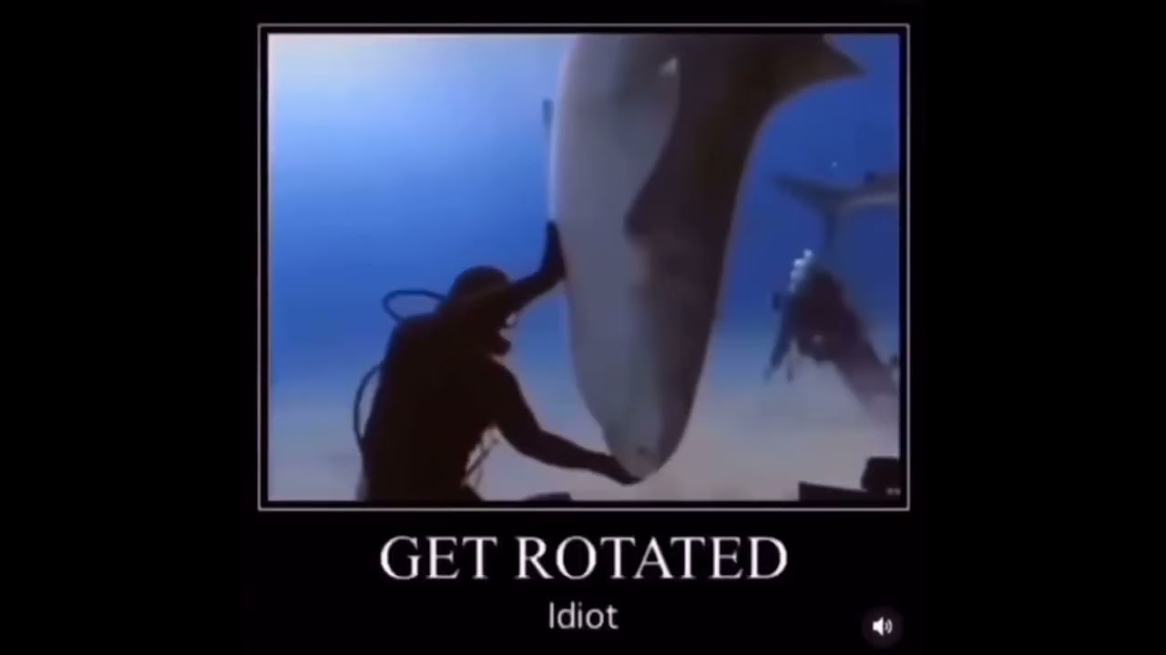 GET ROTATED IDIOT