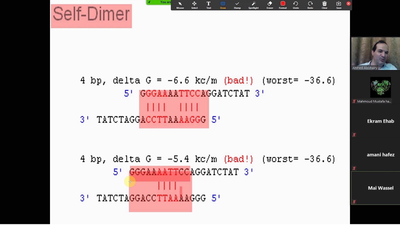 محاضره زووم لشرح الأسس النظرية والعملية لتصميم البوادئ PCR Primers