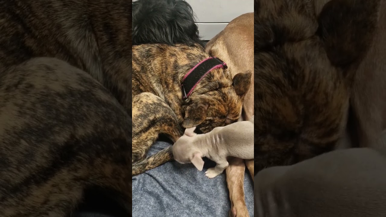 Who is RESPONSIBLE? 😏 