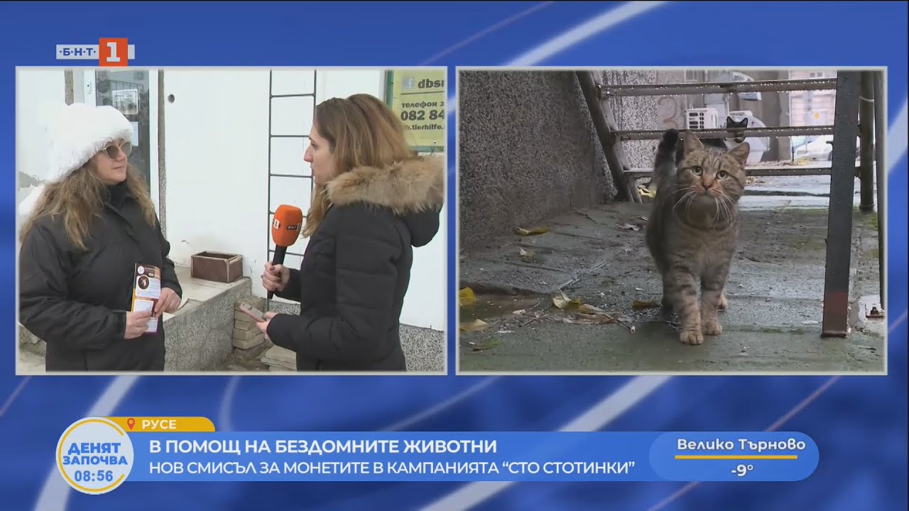 В помощ на бездомните животни нов смисъл за монетите в кампанията Сто стотинки 21.01.2026