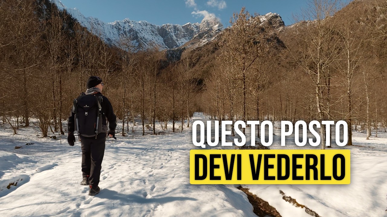 QUESTA FORESTA è più WILD di quello che pensi.