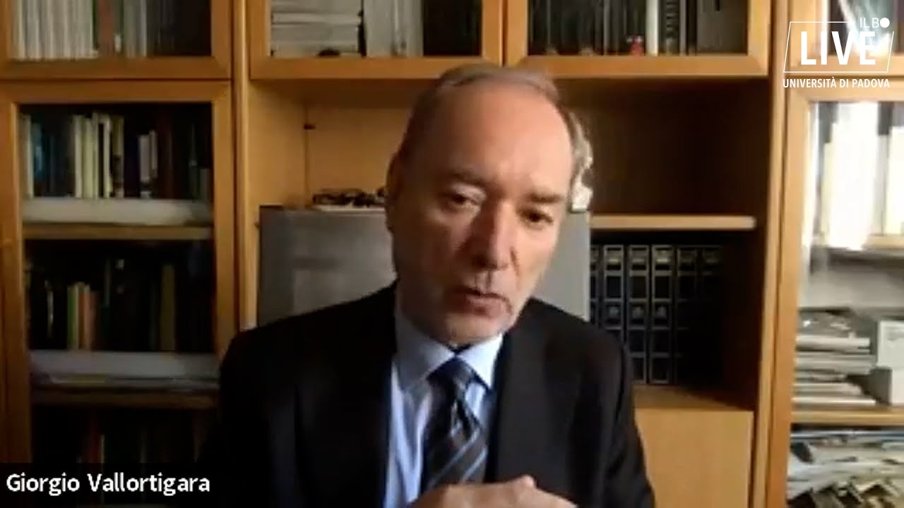 Una nuova interfaccia neuro tecnologica con risvolti avveniristici