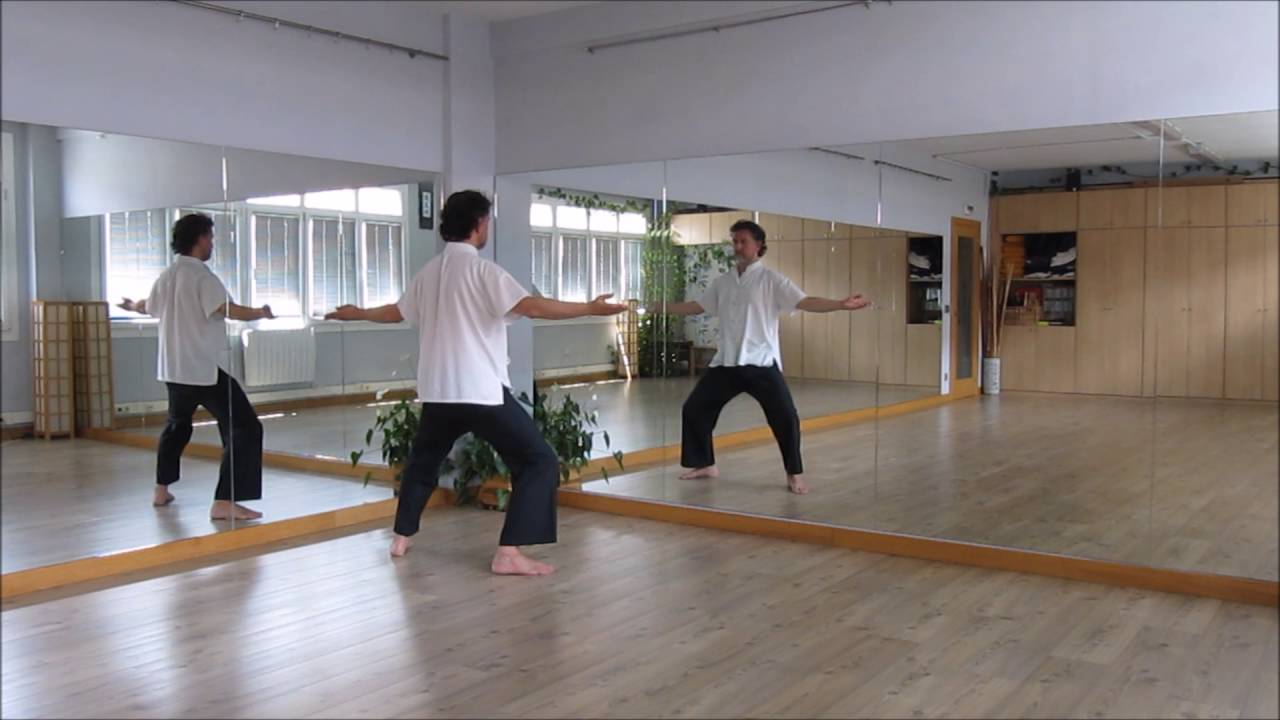 qi gong de las 8 palmas