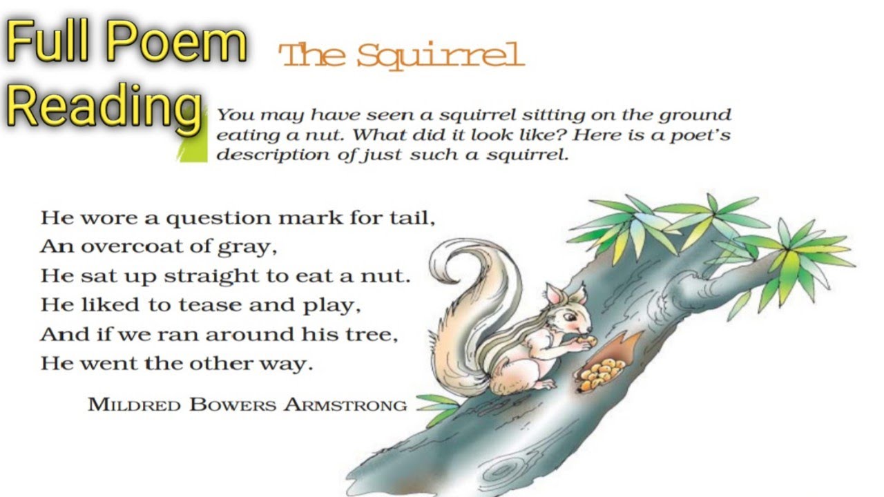 Poem - The Squirrel - Reading/Explanation in Hindi - Class 7 English NCERT - Honeycomb