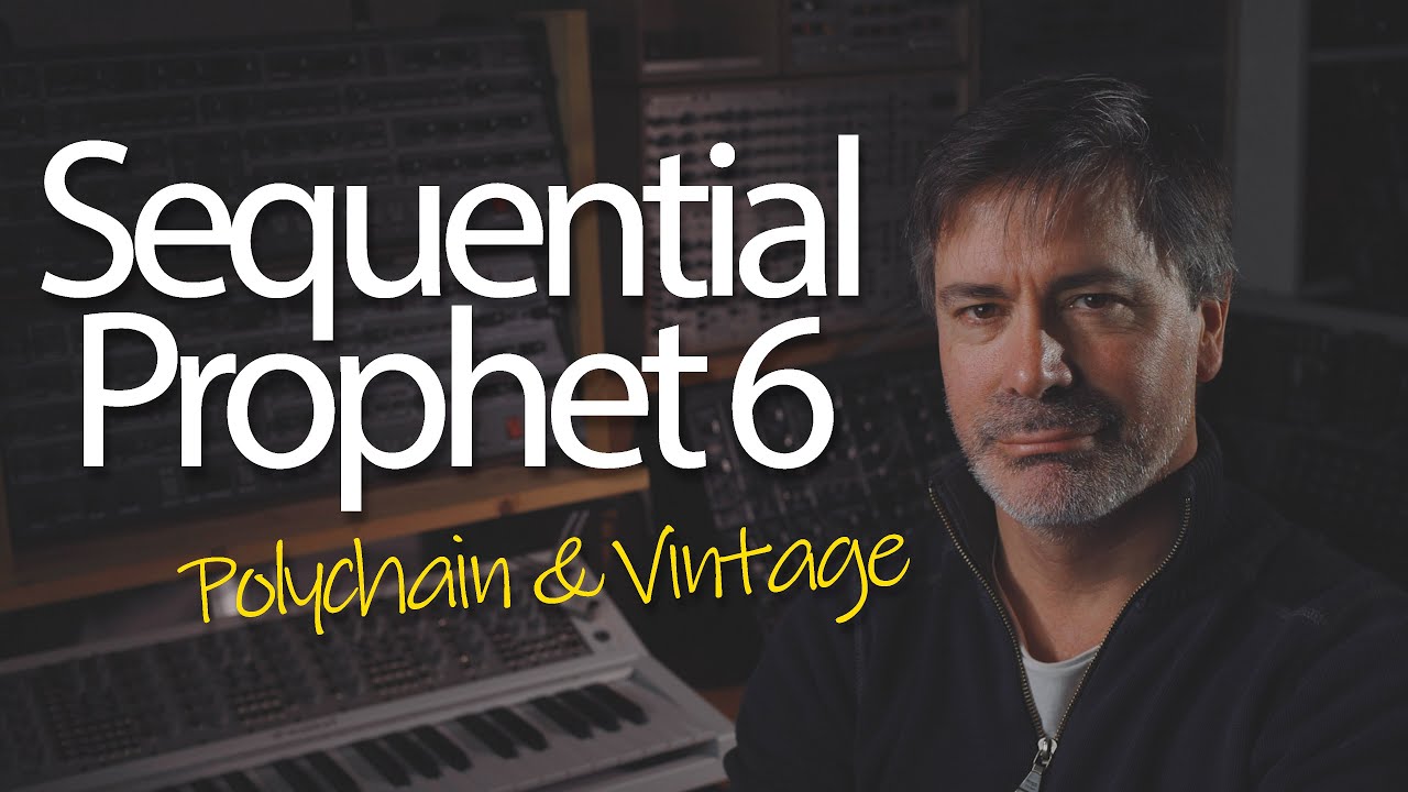 Sequential Prophet 6 - Polychain and Vintage