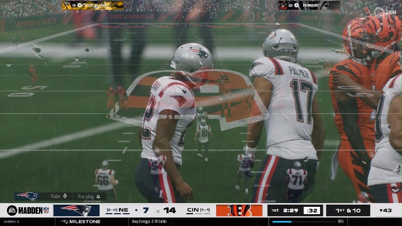Patriots vs Bengals