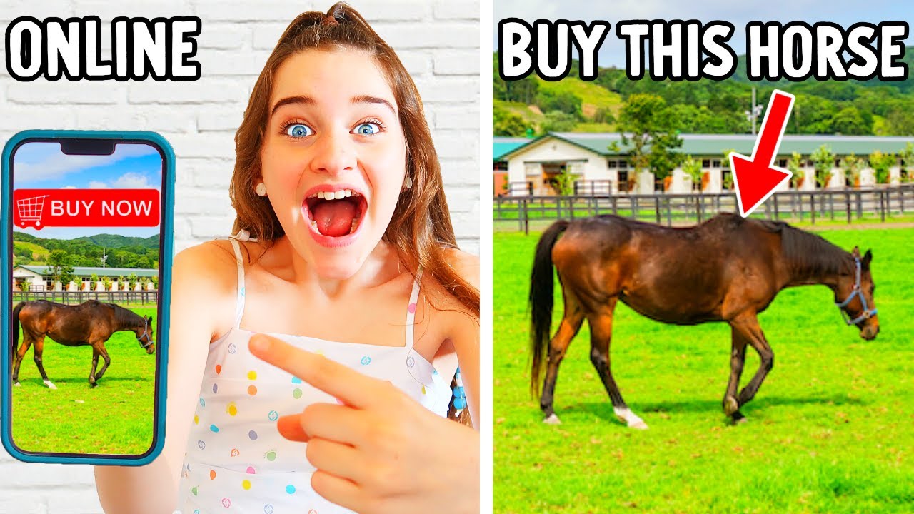 BUY ANYTHING YOU WANT ONLINE UNTIL YOU'RE ELIMINATED w/Norris Nuts