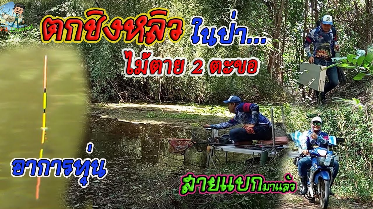 EP131 ตกปลาหมายธรรมชาติ ตกชิงหลิวคลองสาขาแม่น้ำป่าสัก จ.ลพบุรี 