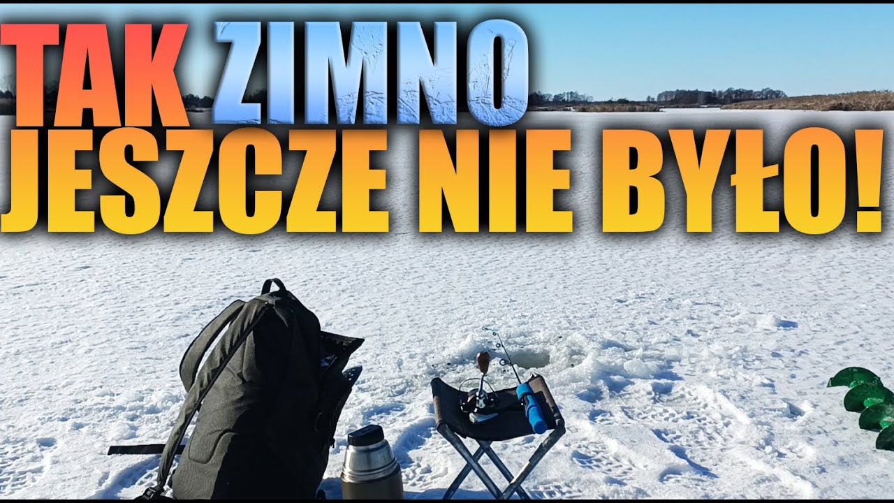 REKORDOWY MRÓZ i PARĘ SŁÓW O KORMORANIE - Wędkuj z Alfim #56