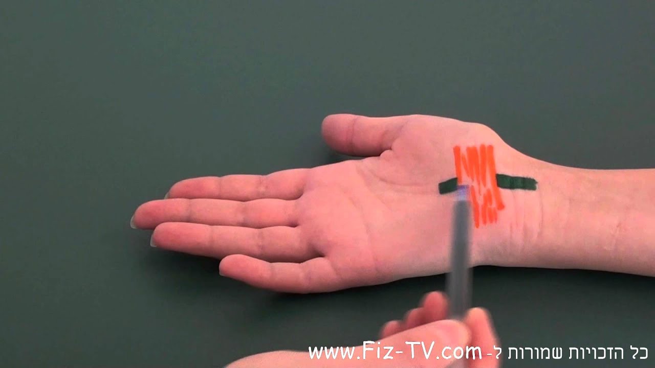 תסמונת התעלה הקרפלית, חלק 1
