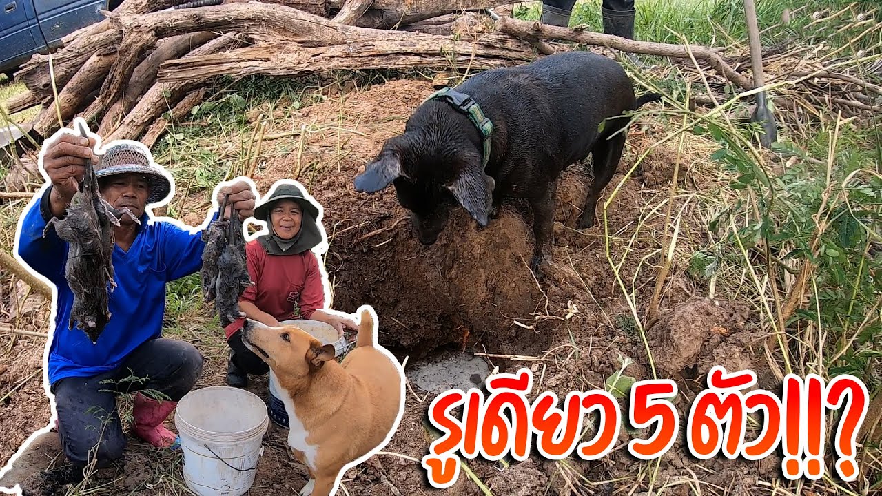 รูเดียวได้ 5 ตัว!!? กาแฟจัดหนักงานนี้ กรอกน้ำหนูพุก