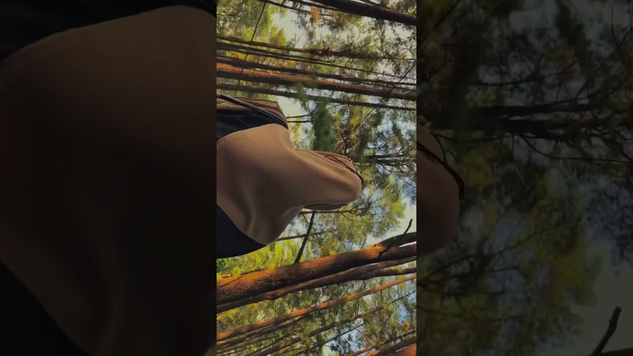 Cinematic pake lagu Percy Faith-summer place bikin videomu jadi aesthetic 