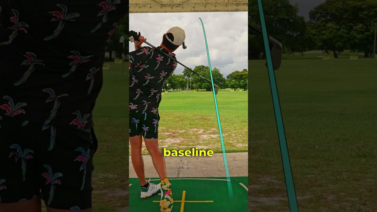 Should you buy a driving iron? And how much time and miney does it take to be a single dogit