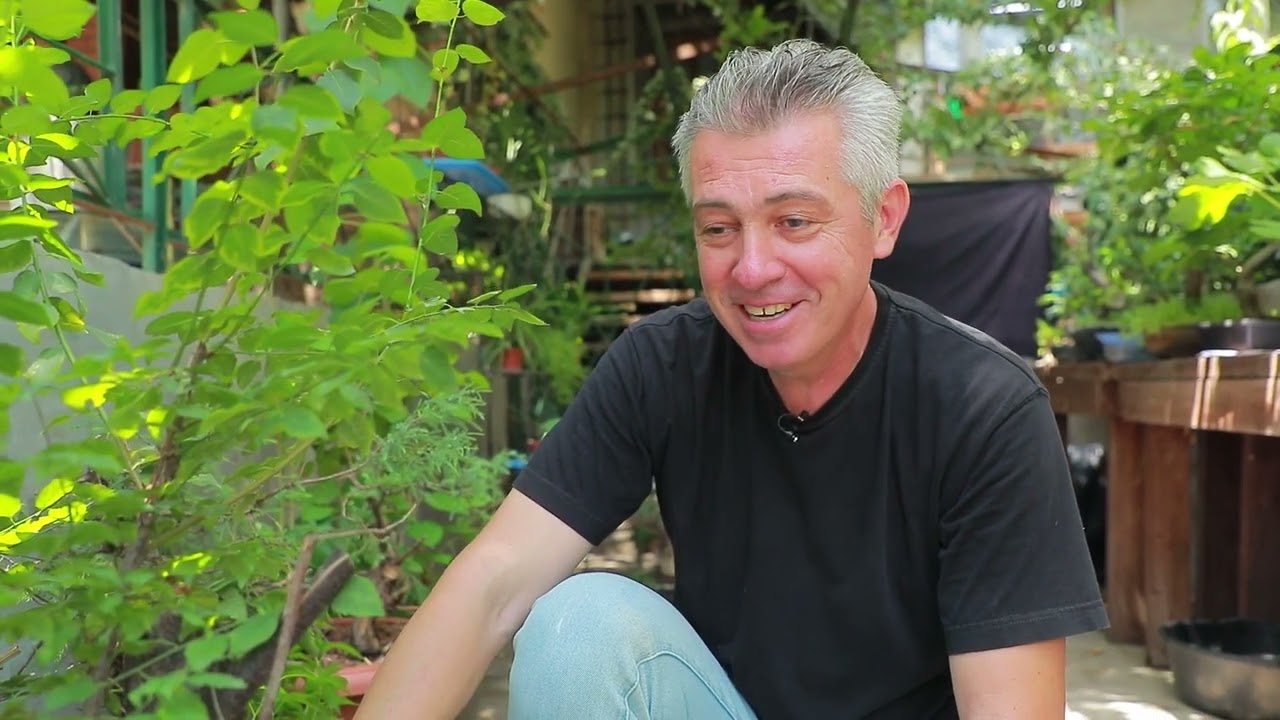 Эпизод 9. Ямадори. Продолжение видео-зарисовок об источниках получения бонсай. 20.08.2022