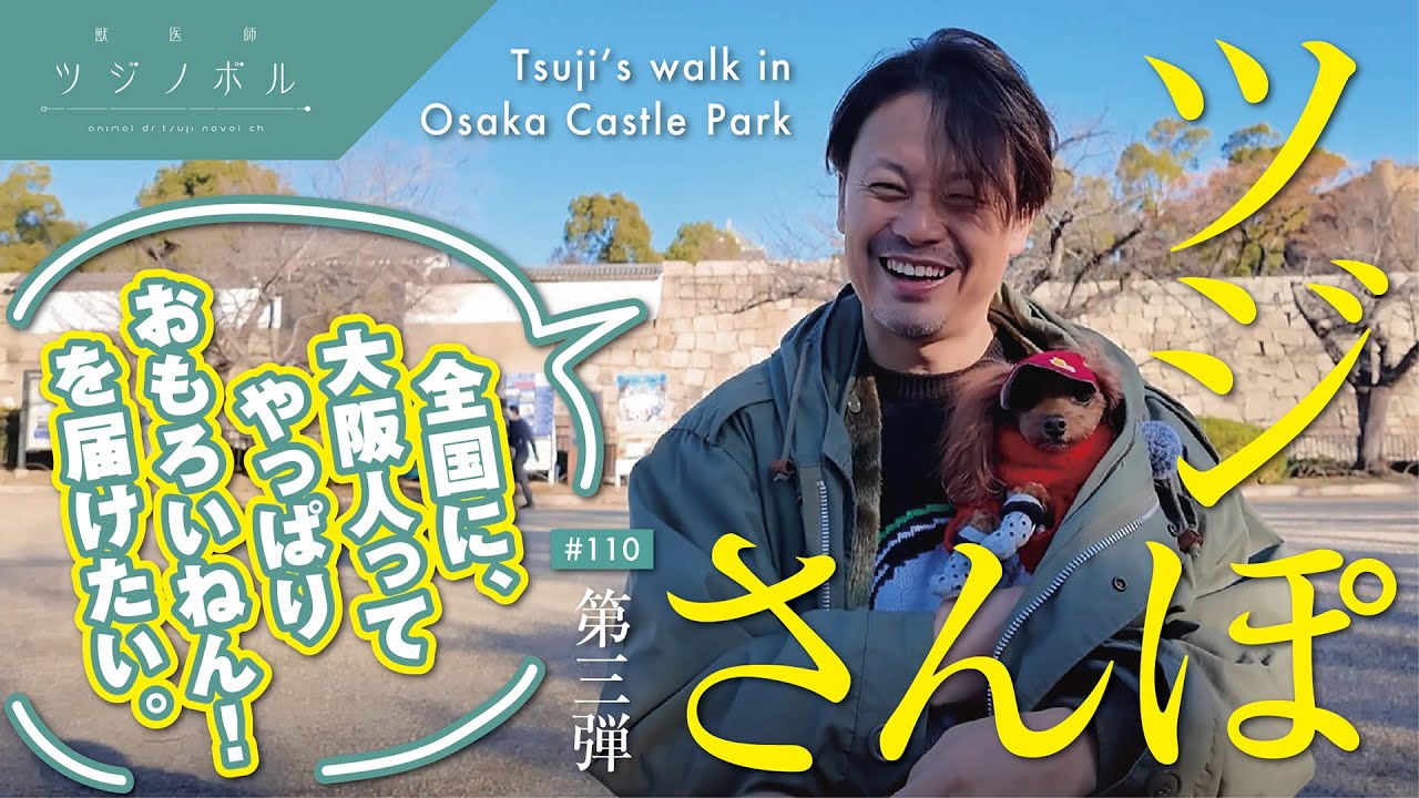 【ツジさんぽ 第三弾】全国に“大阪人ってやっぱりおもろいねん”を届けたい＠大阪城公園【獣医師ツジノボル】
