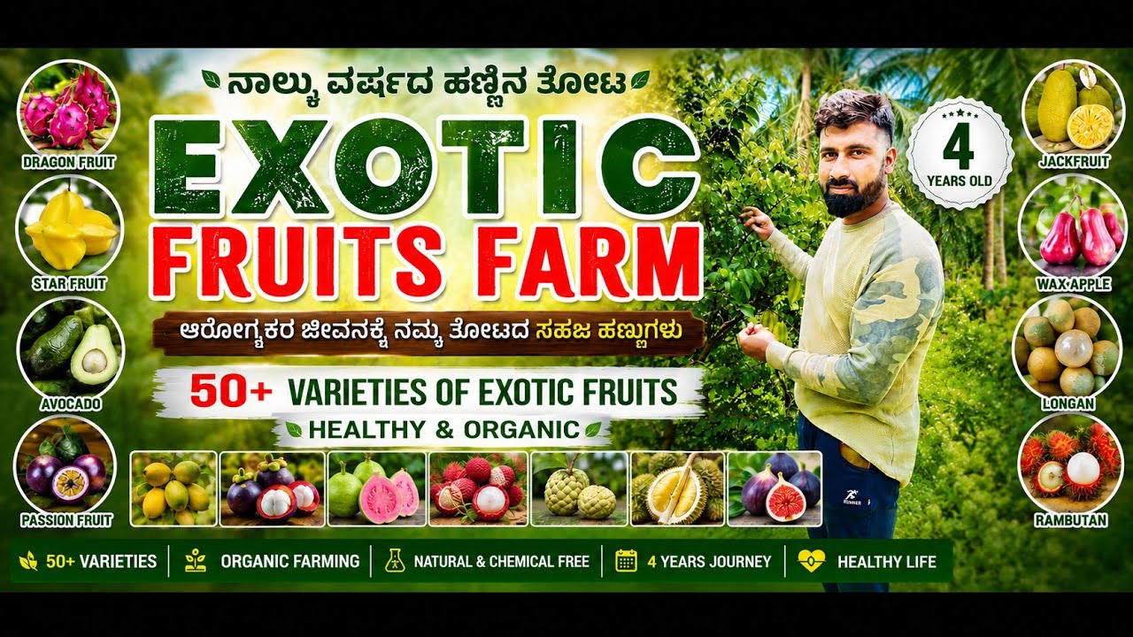 FARM TOUR -4 ವರ್ಷದ ನಂತರ ನಮ್ಮ ತೋಟ