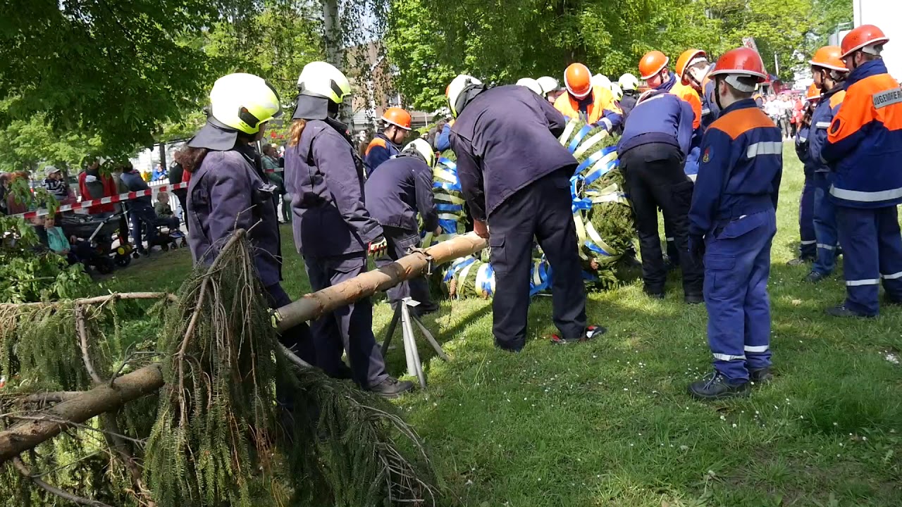 1. Mai aufstellen des Maibaums in Bad Oeynhausen Werste 2019