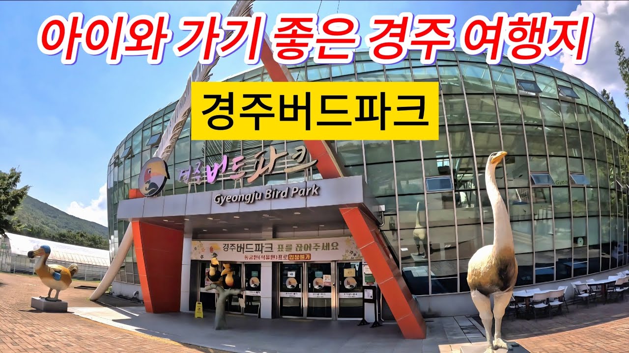 🕊️ 새와 자연이 함께하는 경주 버드파크 완벽 가이드 - 아이와 가기 좋은 경주 여행지