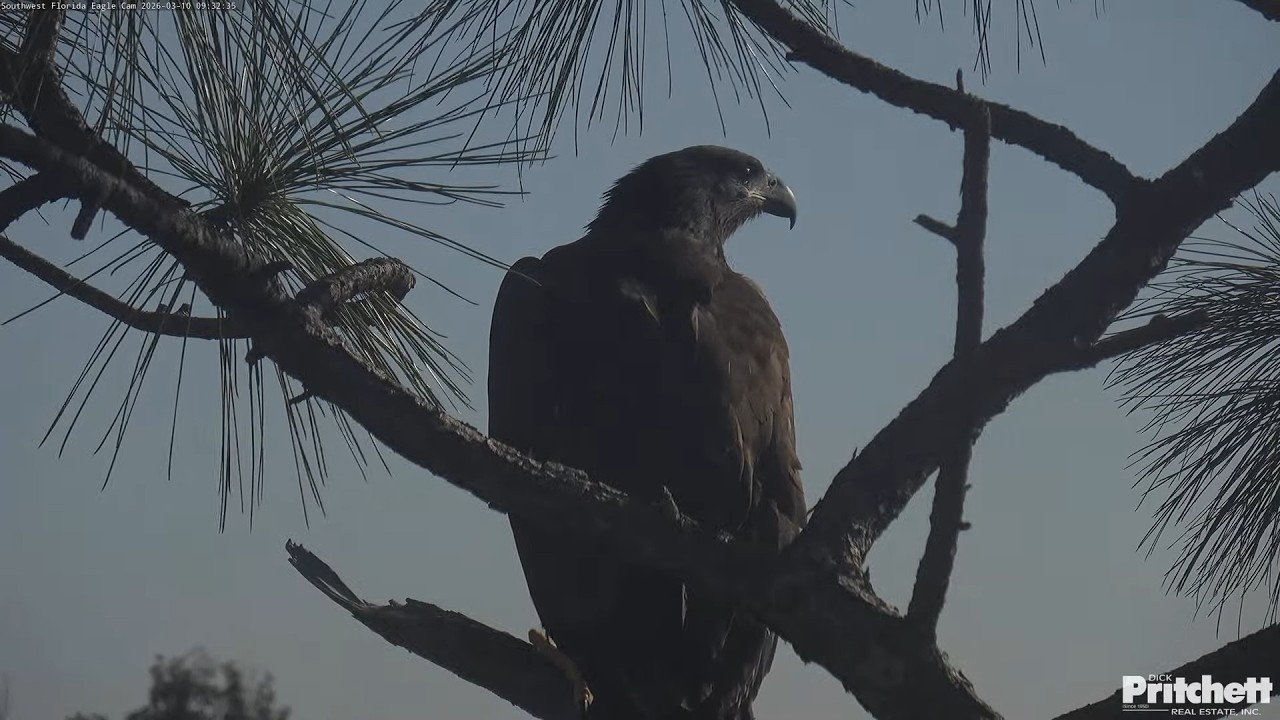 SWFL. Morning of March 10th. E26 reaches new heights 🥳 /09:29/ 2026-03-10