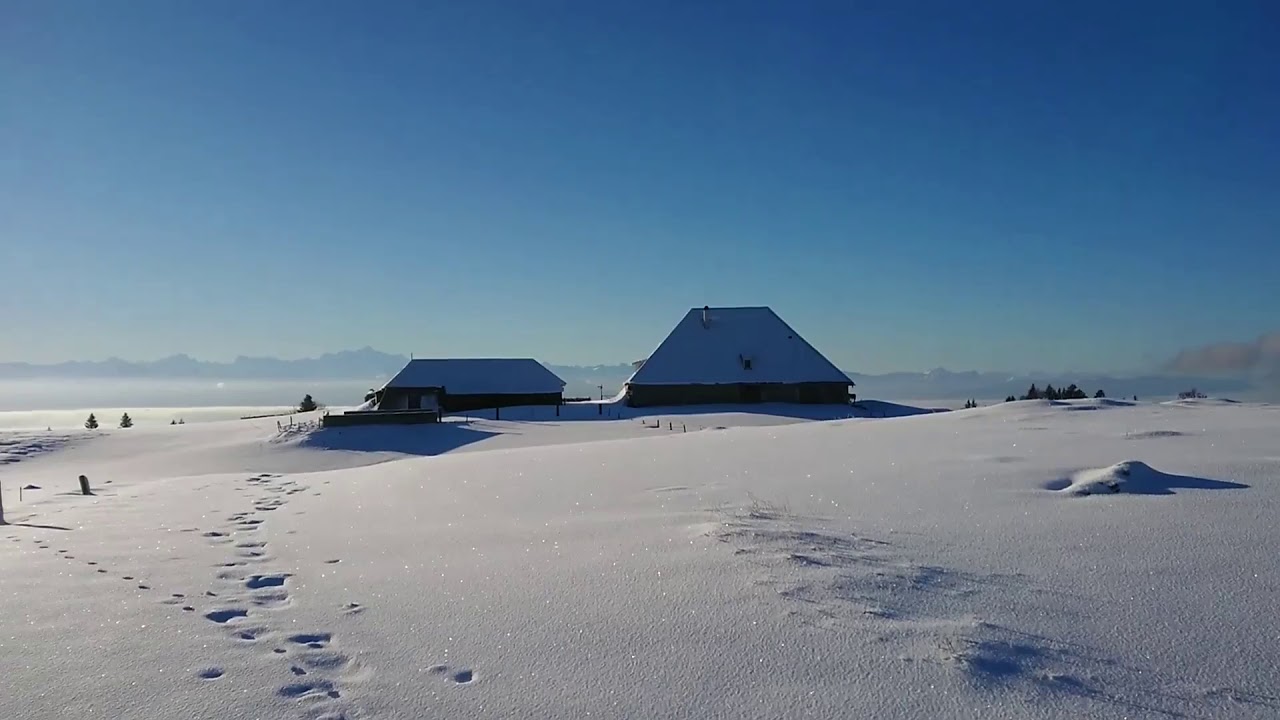 Fruiti&egrave;res de Nyon - Ski Outing