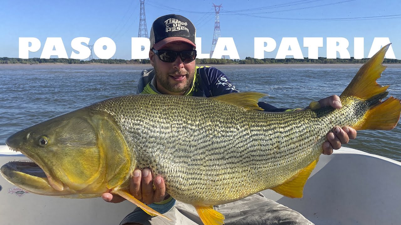 18 kilos de oro...en una edición especial