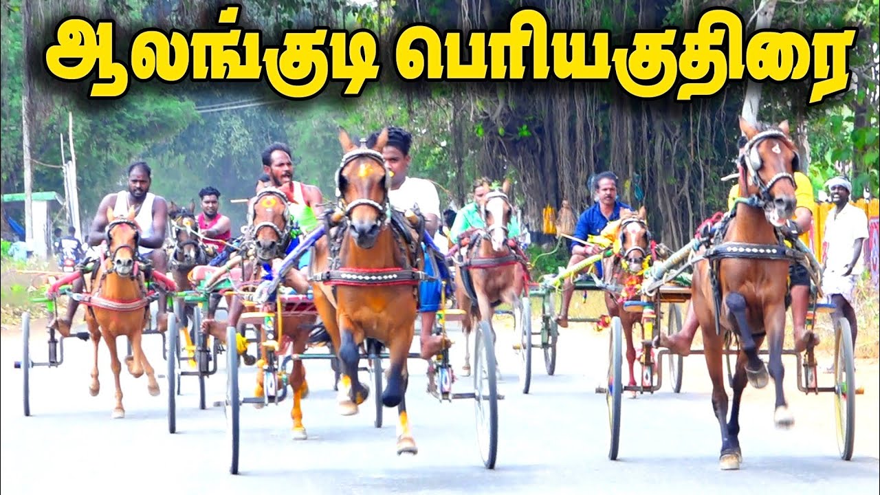 ஆலங்குடி பெரியகுதிரை 08.03.2026