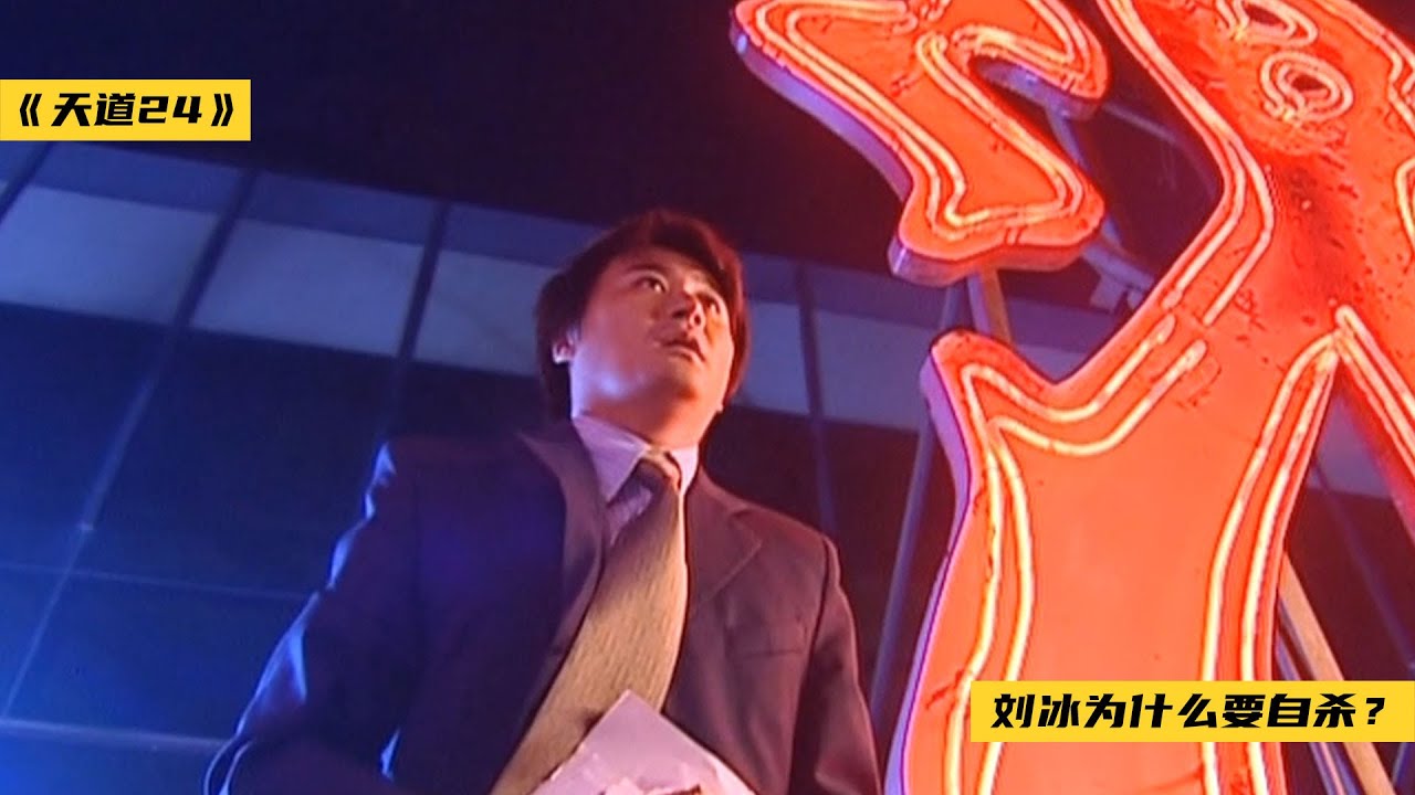 刘冰为什么要自杀？为什么丁元英要将假文件给他？刷完结局我懂了《天道》（P24）