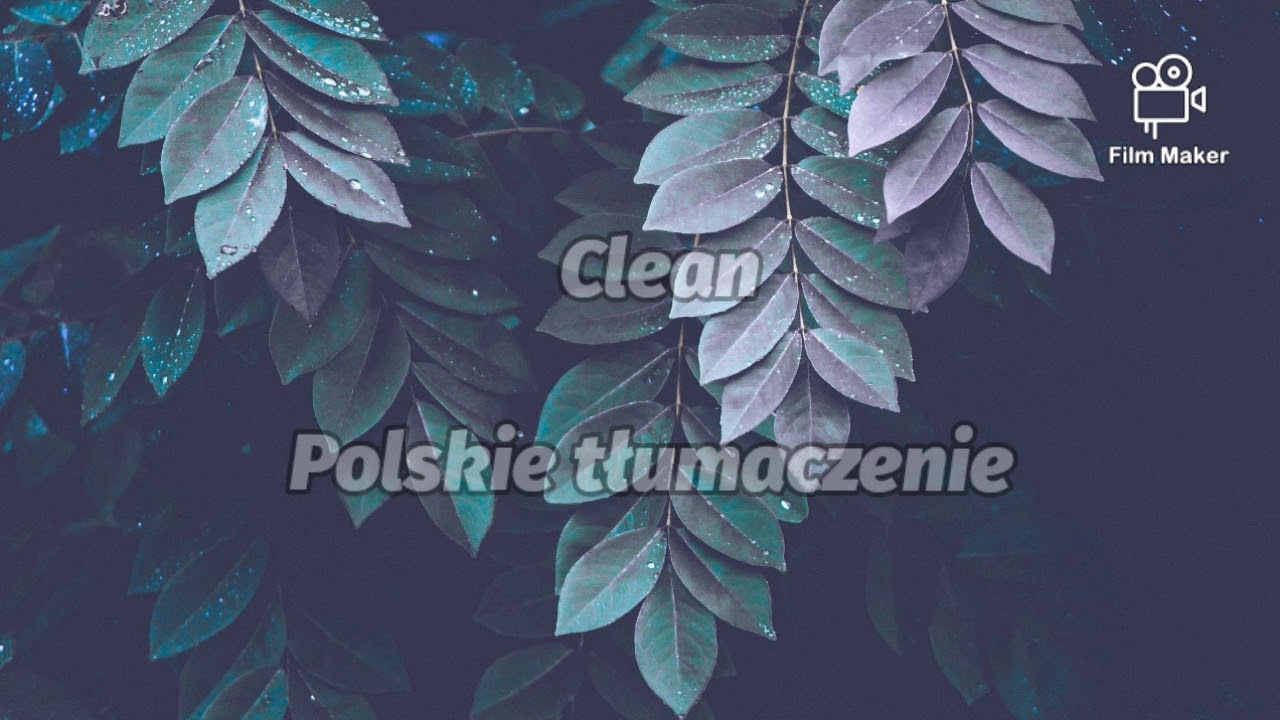 Taylor Swift - Clean Tłumaczenie PL