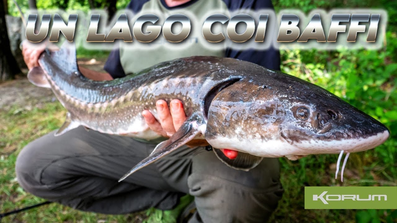 UN LAGO COI BAFFI