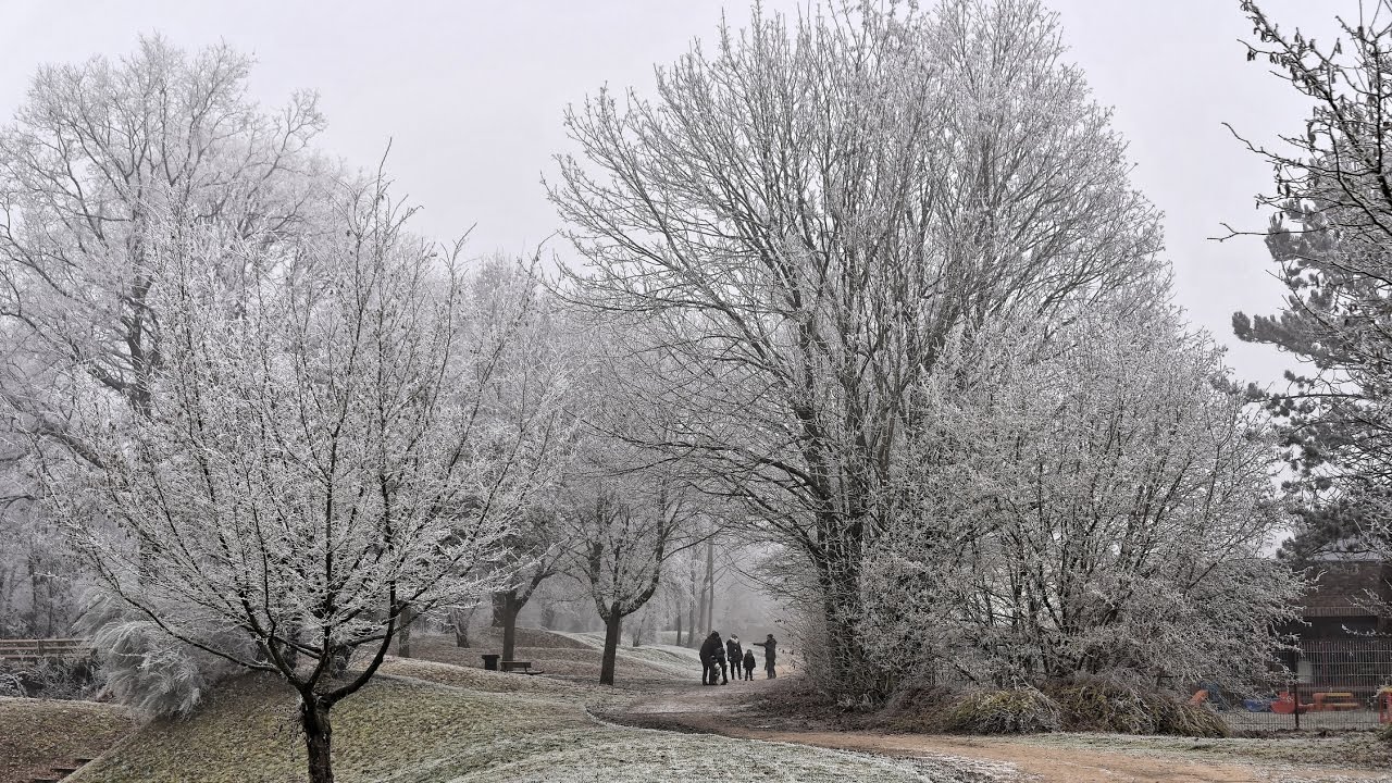 Paysage de givre - Yvelines - &Icirc;le de France - France - d&eacute;cembre 2016