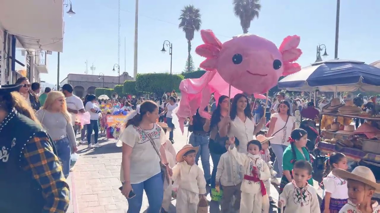 Carnaval en Puruandiro Michoacán febrero/17/2026