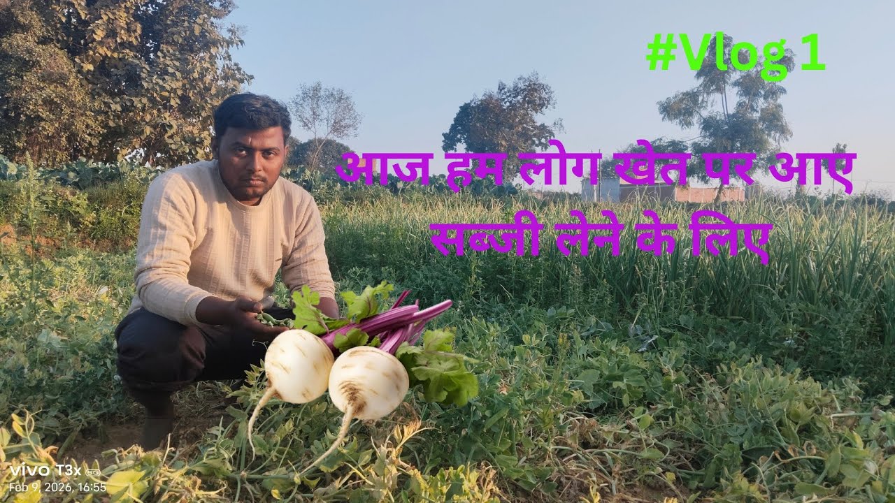 आज हम लोग खेत पर आए सब्जी तोड़ने #vlog #youtube 