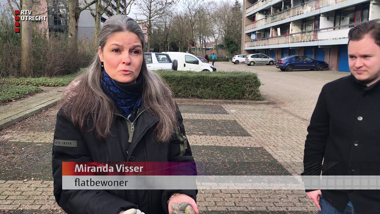 Verveelde kauwen terroriseren Soester flatbewoners [RTV Utrecht]