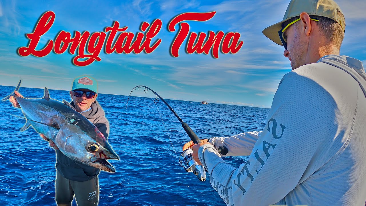 Get the soy sauce ready , it's Sashimi time !!! | Gold Coast Fishing - Longtail Tuna