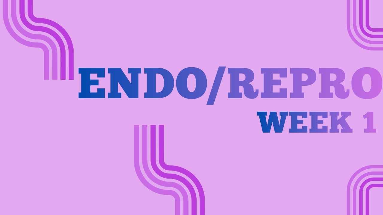 Endo/Repro Week 1: Hormones, Feedback Loops, and Clinical Patterns