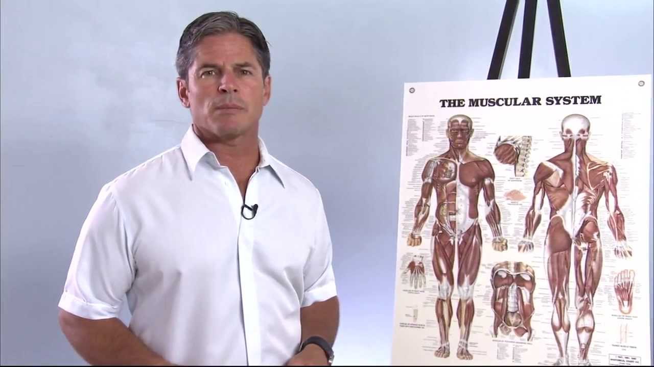Frozen Shoulder Pain & Causes - Toronto Chiropractor Kelly Robazza