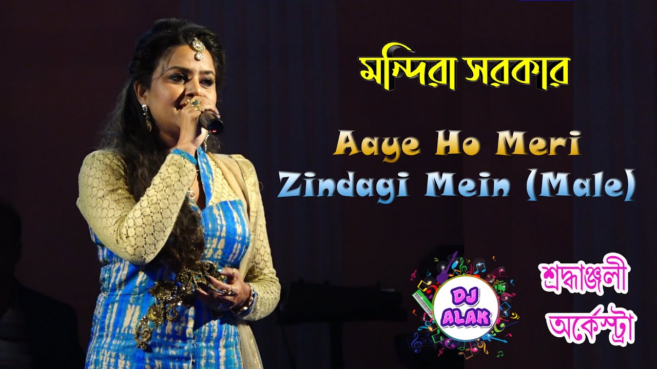 Aaye Ho Meri Zindagi Mein (Female) | Aamir, Karisma | Udit Narayan | Raja Hindustani (8961170459)