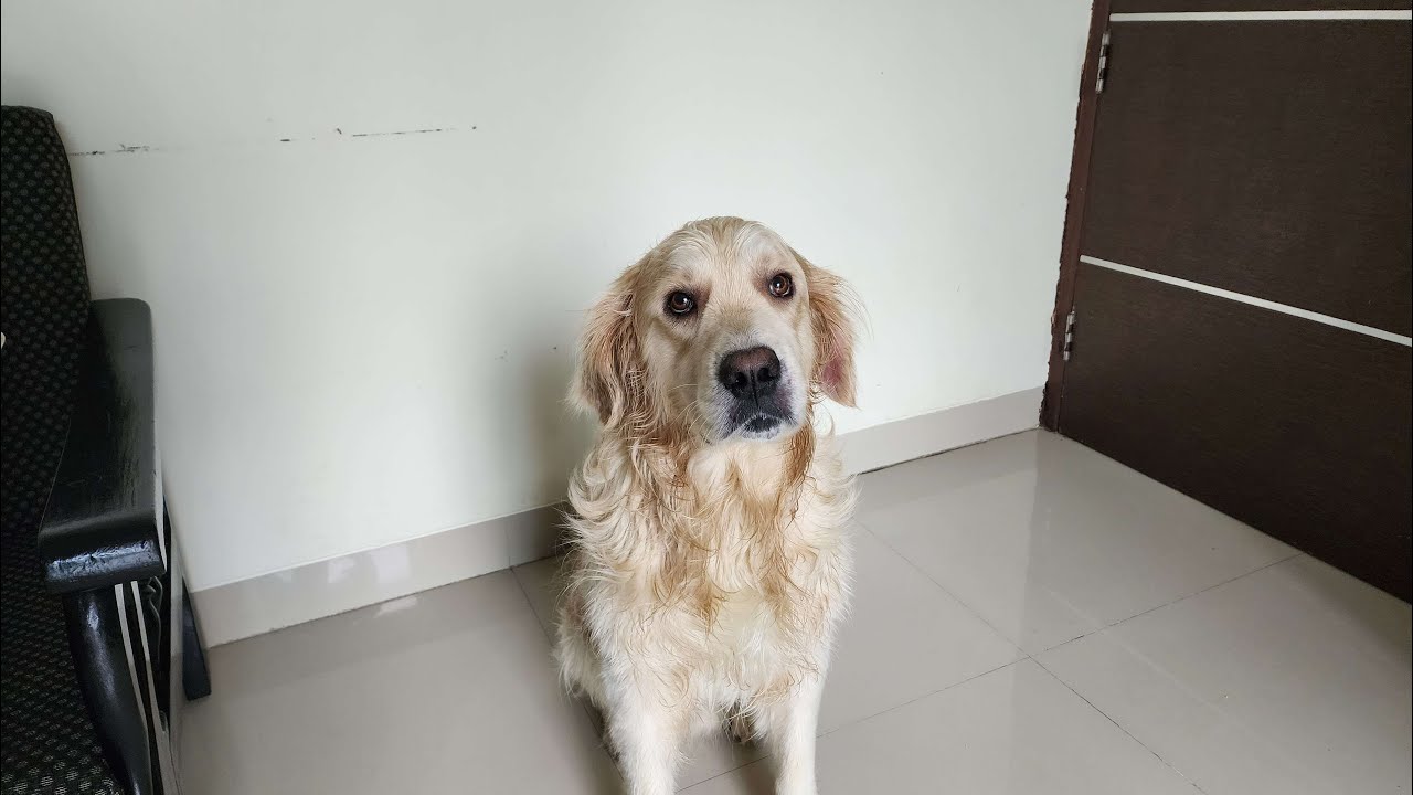 TALKSHOW STREAM WITH RNT BITTY