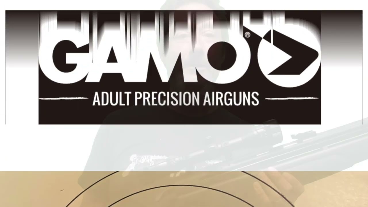 Can the Gamo Arrow shoot accurately @ 30 Yards?