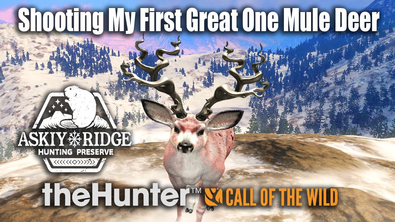 Shooting My First Great One Mule Deer ! - theHunter Call of the wild