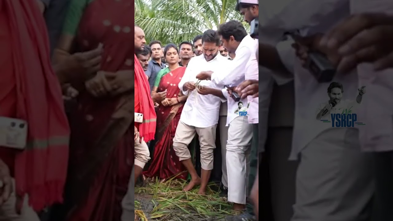 రైతన్నకు కష్టం వస్తే.. జగనన్న వస్తాడు.. ఇది జగమెరిగిన సత్యం..❤🙏#WeYSRCP #YSJagan #YSJaganForFarmers