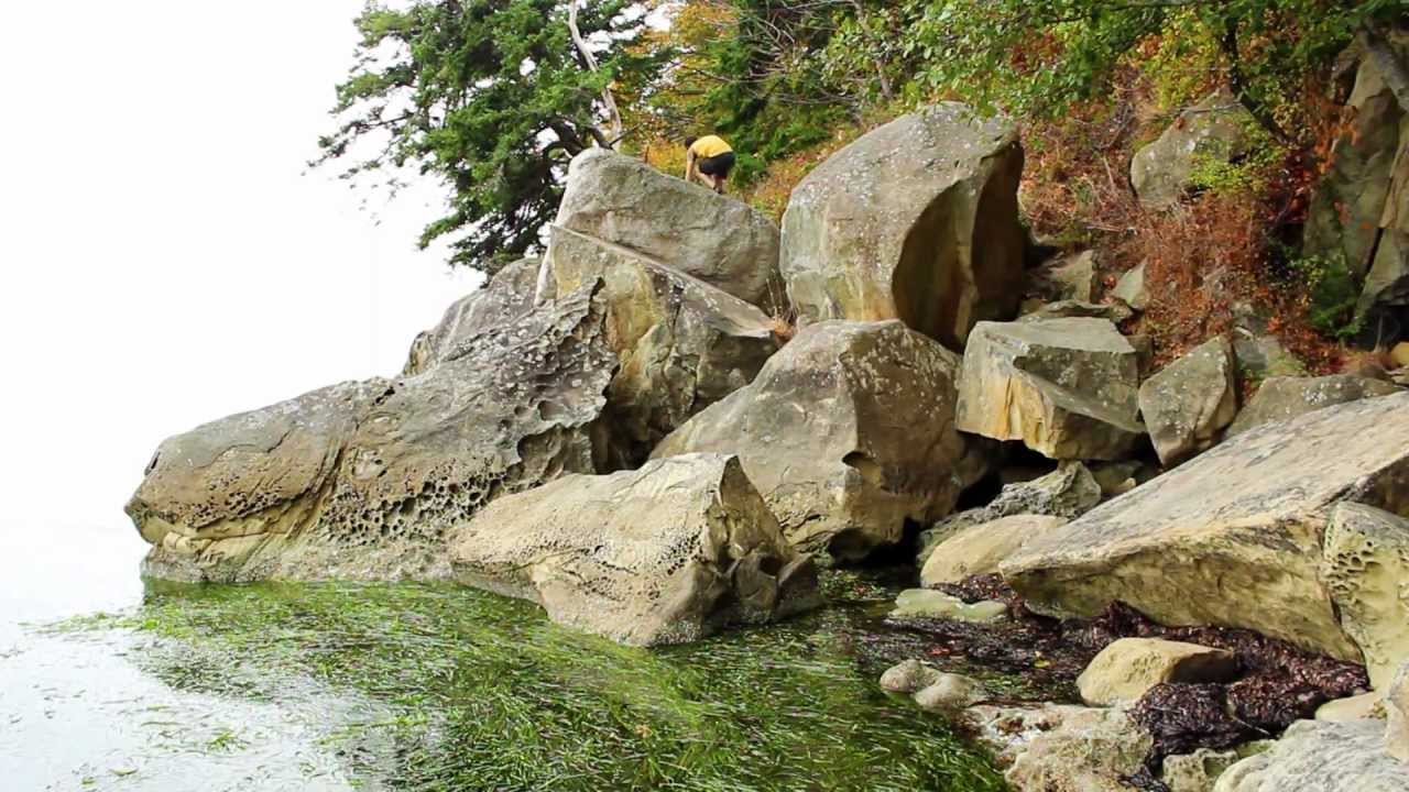 Parkour: Return To The Source