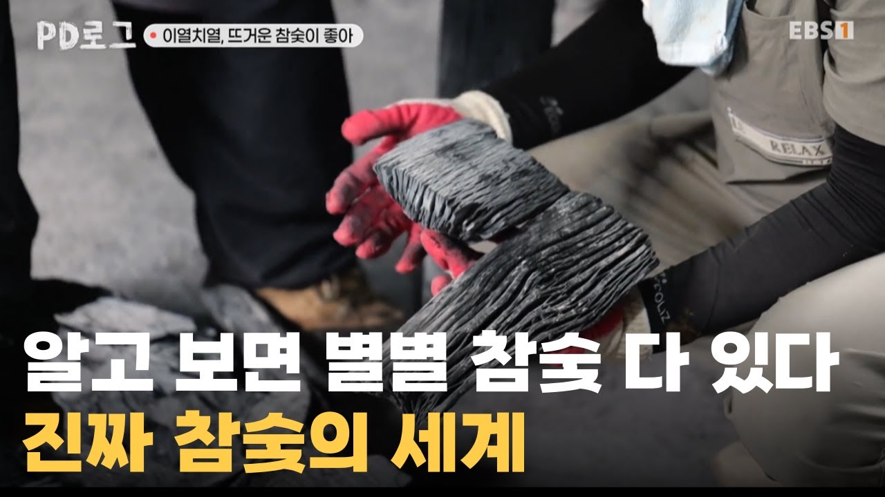 참숯에도 종류가 있는지 처음 알았어요;;ㅣ모양 따라 달라지는 진짜 참숯의 세계ㅣ#PD로그