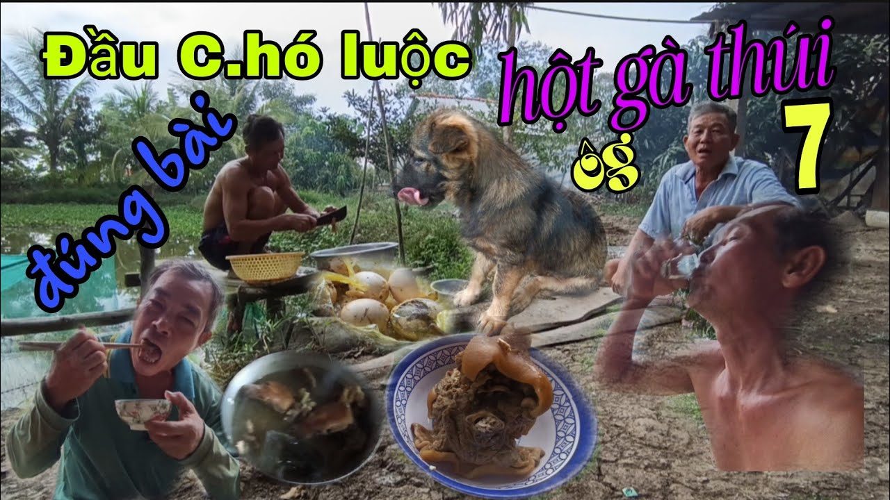 Ôg 7 Điều Bất Ngờ ! Chú Hai Ô Đem 2Đâu Cầy Tơ ,Với Hột Gà T.h.úi
