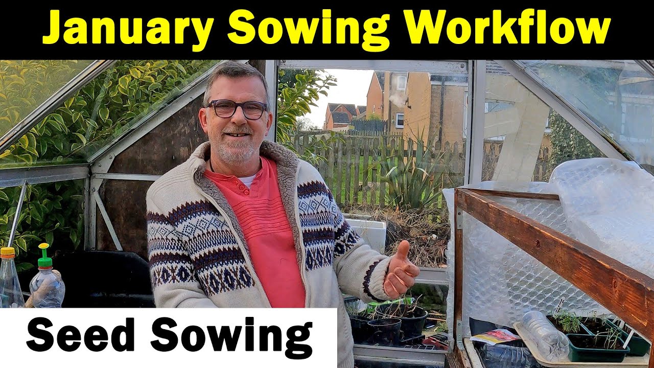 January Sowing Workflow | How it works for me | Spreading the load | Green Side Up